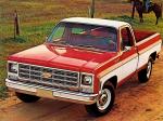 Chevrolet C20 Silverado Fleetside 1979 года